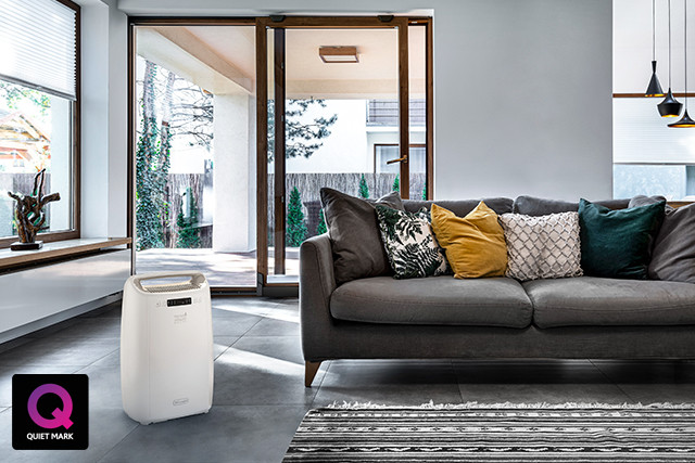 De'Longhi Tasciugo AriaDry DEXD216RF Dehumidifier