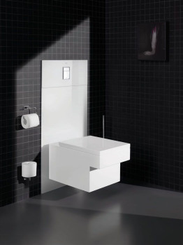 GROHE Rapid SL Flush System image 9