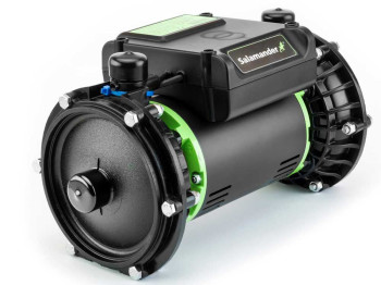 Salamander Right Pumps image 4