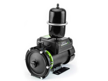 Salamander Right Pumps image 2