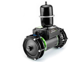 Salamander Right Pumps image 3