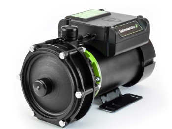 Salamander Right Pumps image 0