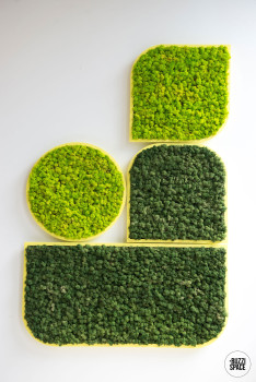 BuzziSpace BuzziMood Biophilic Acoustic Panels image 5