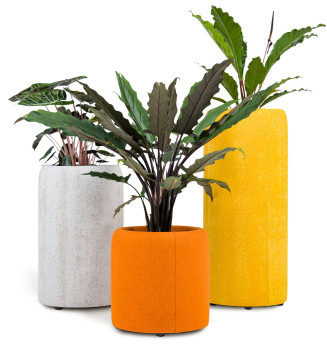 BuzziSpace BuzziPlanter Biophilic Office Divider