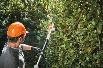 STIHL HLA 56 Battery Long-Reach Hedge Trimmer image 2
