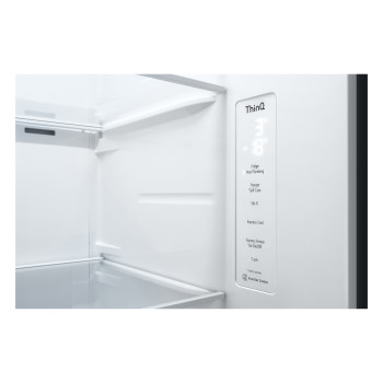 LG GSLD81PZRD Freestanding Side-by-Side Fridge Freezer image 2