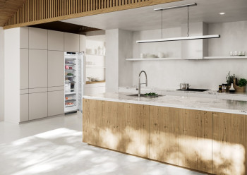 Liebherr SIFNe 5188 Peak NoFrost Integrated Freezer image 1