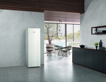 Miele FNS 4382 D WS Freestanding Freezer image 0