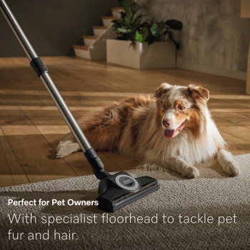 Miele Guard L1 Cat & Dog Flex Black Vacuum Cleaner image 14
