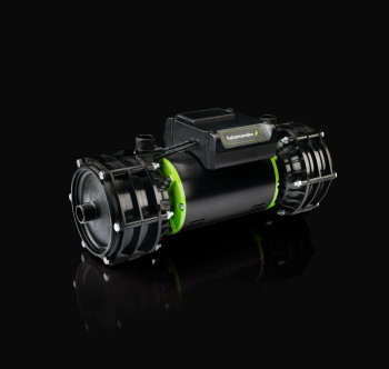 Salamander Right Pumps image 18