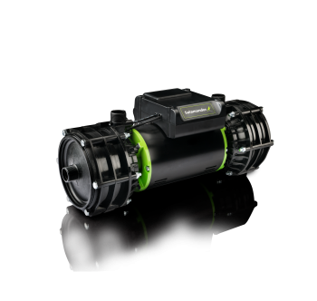 Salamander Right Pumps image 19