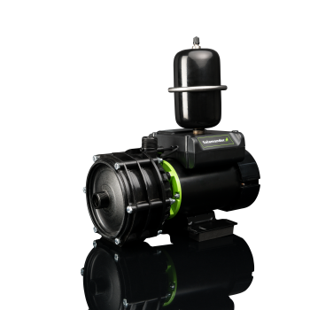 Salamander Right Pumps image 21