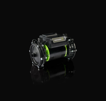 Salamander Right Pumps image 9