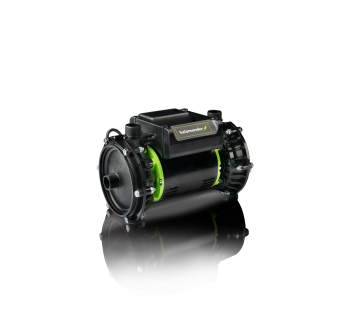 Salamander Right Pumps image 10