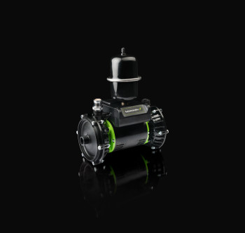 Salamander Right Pumps image 11