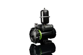 Salamander Right Pumps image 13