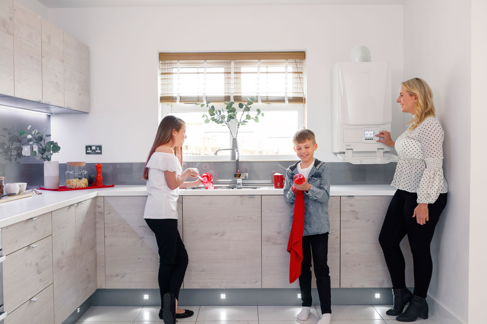 Quiet Mark Ideal Logic MAX System Boilers