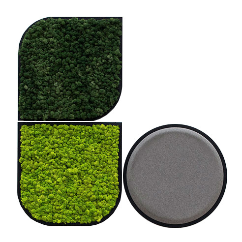 BuzziSpace BuzziMood Biophilic Acoustic Panels featured image