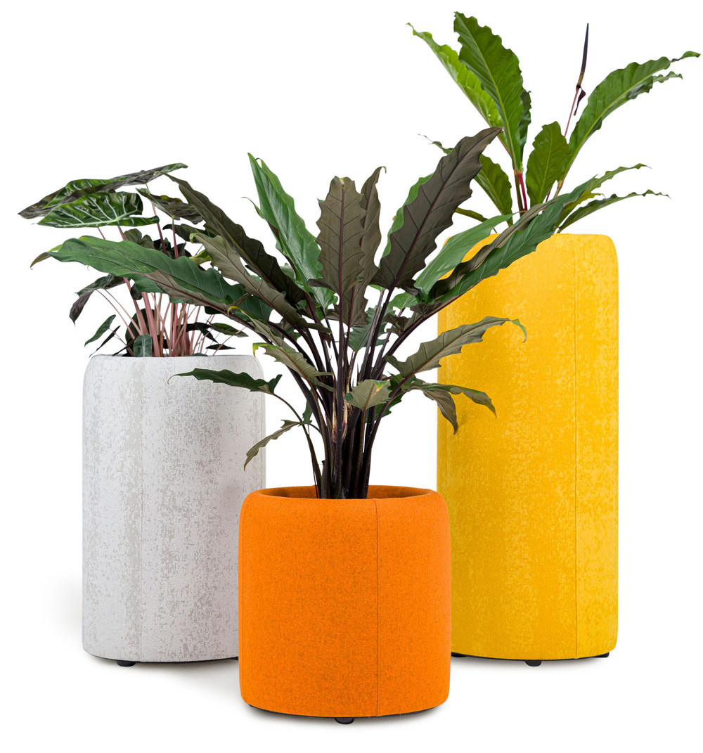 BuzziSpace BuzziPlanter Biophilic Office Divider featured image