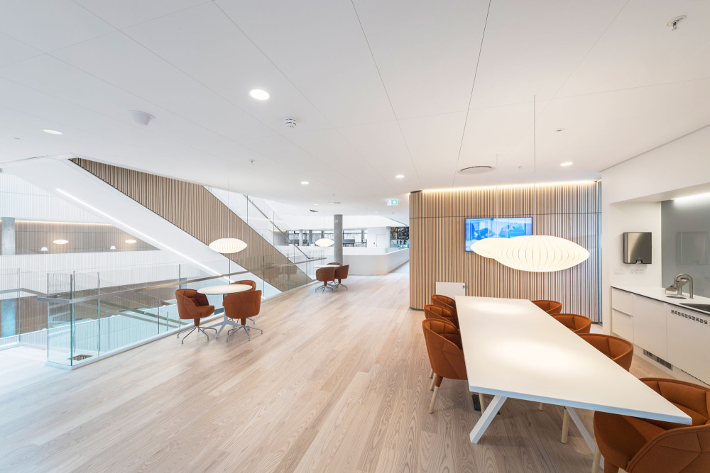 Rockfon Blanka® Acoustic Suspended Ceiling featured image