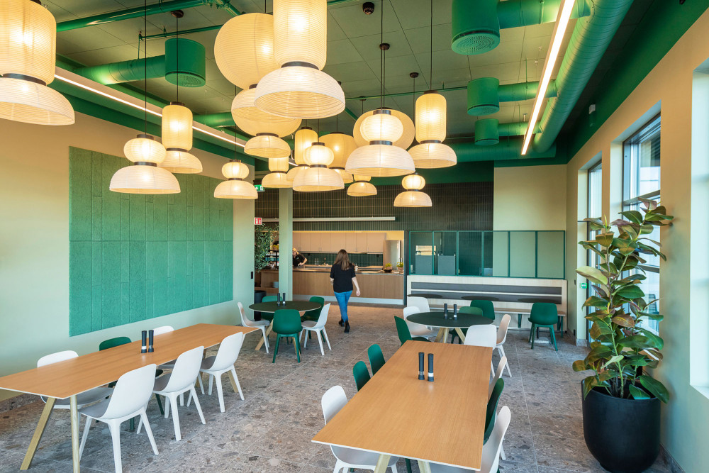Rockfon Color-all® Acoustic Suspended Ceiling featured image
