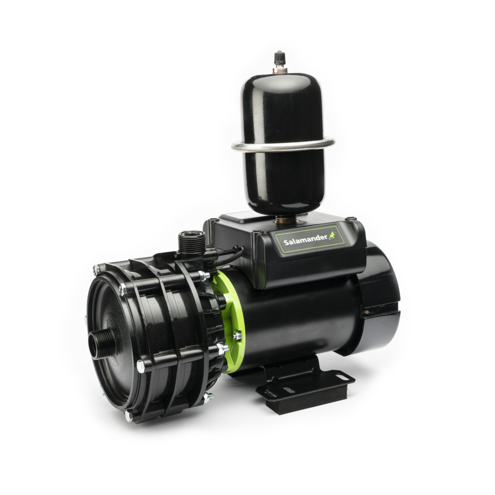 Salamander Right Pumps featured image
