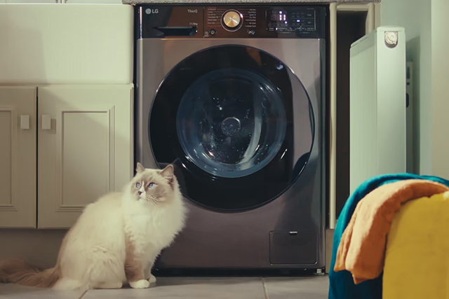 Fluffy cat sitting calmly beside an LG Washing Machine